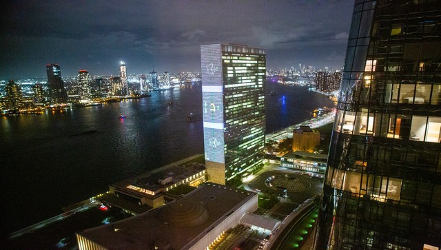 Why UN's biodiversity summit shifted from China to Canada Why UN's biodiversity summit shifted from China to Canada