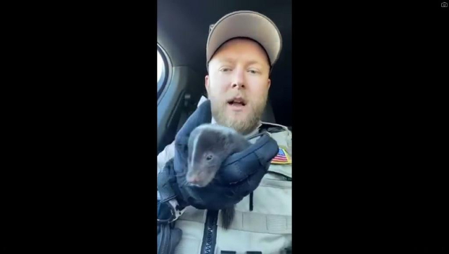 Watch: Deputy sheriff rescues baby skunk while on duty, wins hearts Watch: Deputy sheriff rescues baby skunk while on duty, wins hearts