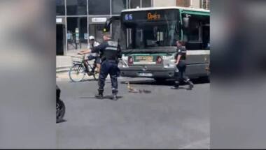 Watch: Paris police personnel help duck family cross busy road; video goes viral