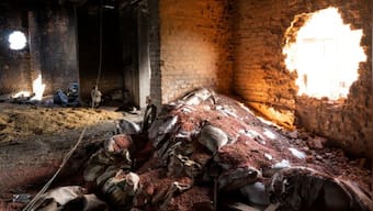 Explained: How did Russia-Ukraine war trigger a food crisis?