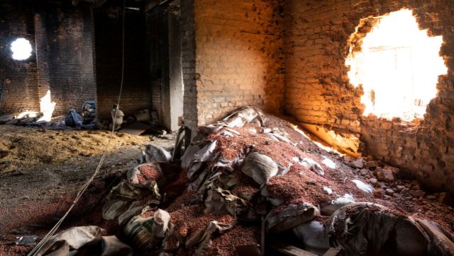 Explained: How did Russia-Ukraine war trigger a food crisis? Explained: How did Russia-Ukraine war trigger a food crisis?