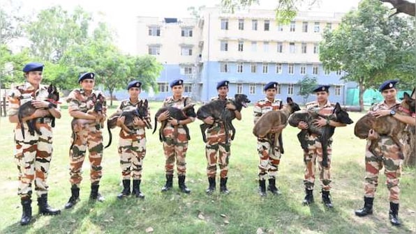 In a first, ITBP inducts eight women personnel for training, handling, deployment of Malinois dogs