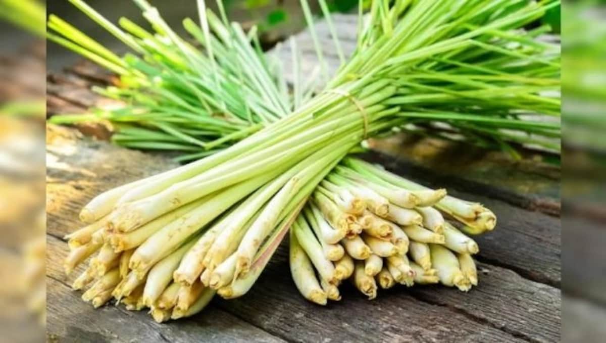 Here are some benefits of Lemongrass for skin and hair