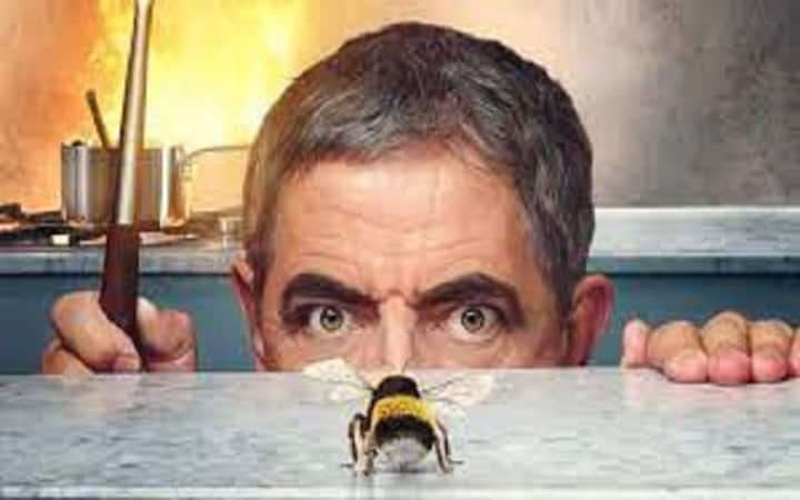 Man vs Bee is simply the return of Mr Bean with dialogues and it is deliriously enjoyable