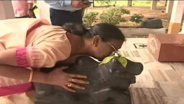 Droupadi Murmu sweeps Shiva temple: Why NDA presidential pick whispered into Nandi’s ear, how social media reacted