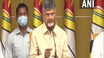 Visakhapatnam gas leak: N Chandrababu Naidu demands action against those responsible