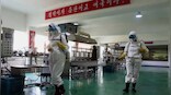 North Korea: No COVID-19 cases reported for first time since outbreak