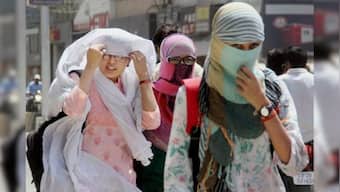 Ground-level ozone pollution in Delhi-NCR in March-April highest in 4 years: CSE
