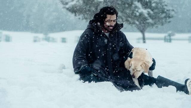 A still from 777 Charlie
