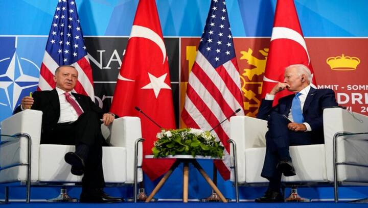 Explained: How Turkey was stopped from using veto against Finland and Sweden’s NATO bid