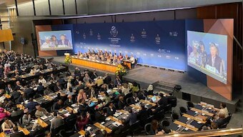 WTO members 'fully' agree on all issues, including fisheries subsidies: Report