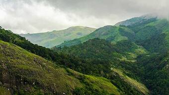 Biodiversity preservation is an urgent imperative and must move from talk to large-scale credible action