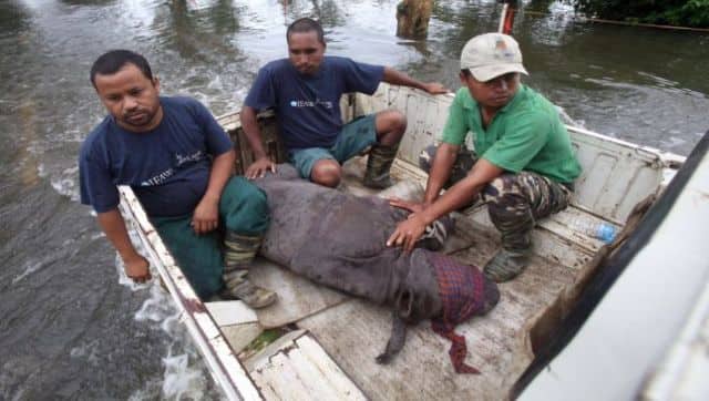 Locals and NGOs have combined forces along with the Centre for Wildlife Rehabilitation and Conservation to help and rescue animals trapped in the floods in Kaziranga. Image Courtesy: @wti_org_india/Twitter