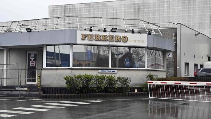 Belgium's Kinder factory at centre of Salmonella cases to reopen