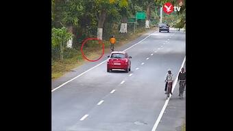 Watch: Cyclist escapes close call with leopard on highway in Assam’s Kaziranga National Park