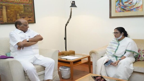 ‘Mamata may have been consulted’: TMC leader on Pawar’s remark about patching up with Congress