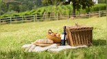 International Picnic Day 2022: Here’s how to celebrate with your family, friends amid pandemic