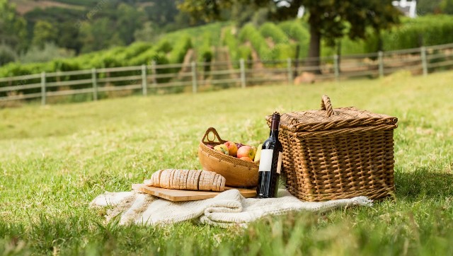 International Picnic Day 2022: Here’s how to celebrate with your family, friends amid pandemic International Picnic Day 2022: Here’s how to celebrate with your family, friends amid pandemic