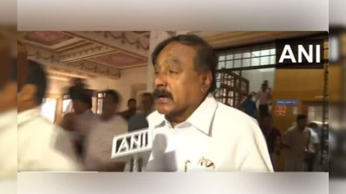 WATCH: 'I love it,' says Karnataka JD(S) MLA K Srinivasa Gowda after voting for Congress in RS polls