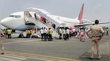 Explained: What are bird strikes and how they affect aviation safety?