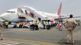 Explained: What are bird strikes and how they affect aviation safety?