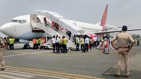 Explained: What are bird strikes and how they affect aviation safety?