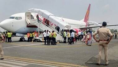 Explained: What are bird strikes and how they affect aviation safety?