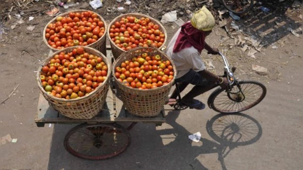 After lemons, now tomatoes are burning a hole in pockets: What’s up with India’s food inflation?