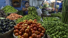 What nutrient and calorie intake is needed as per age bracket