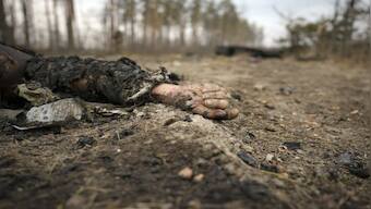 Ukraine journalist, soldier 'coldly executed', says Press Freedom Group