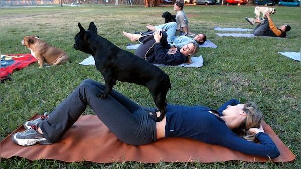 Stretching it: Doga, underwater yoga, and other twisted asanas on World Yoga Day