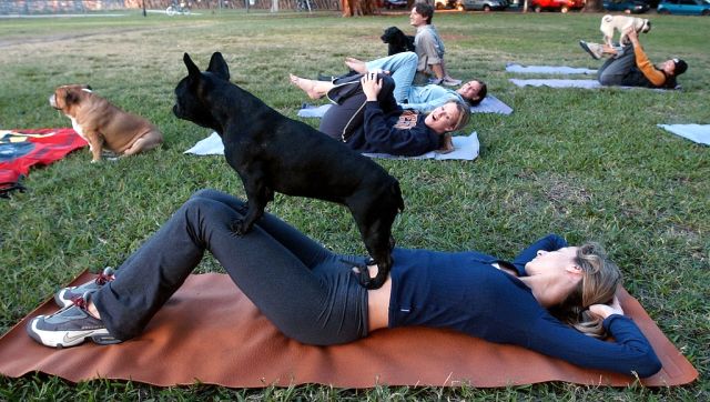 Stretching it: Doga, underwater yoga, and other twisted asanas on World Yoga Day Stretching it: Doga, underwater yoga, and other twisted asanas on World Yoga Day