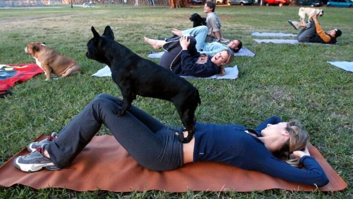 Stretching it: Doga, underwater yoga, and other twisted asanas on World Yoga Day