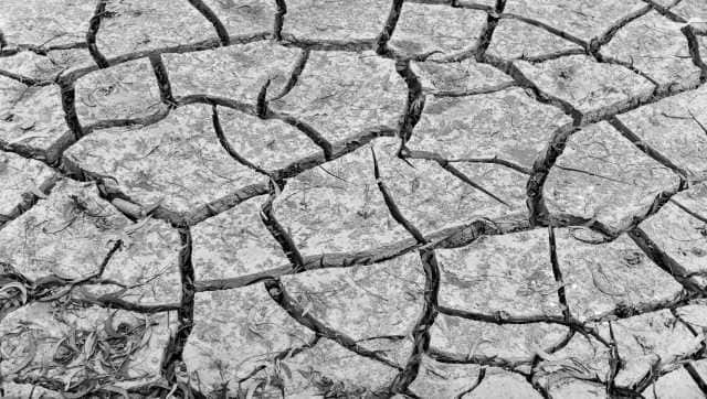 Dried up rice fields, following their destruction by salt water flooding during the recent cyclones. Image courtesy Polina Schapova