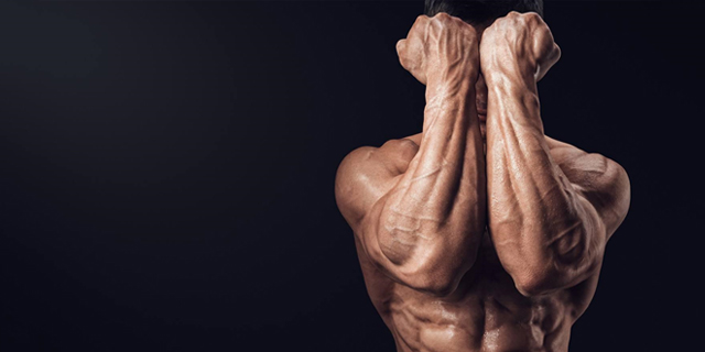 MK-677 Ibutamoren Review | Alternatives, Side effects, Benefits and Results MK-677 Ibutamoren Review | Alternatives, Side effects, Benefits and Results