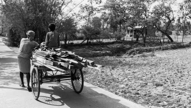There are no cars on the island, since there are not really roads, as such, so carts of various types are primarily used for the movement of people and things, some are attached to bicycles, others to motorbikes. Image courtesy Polina Schapova