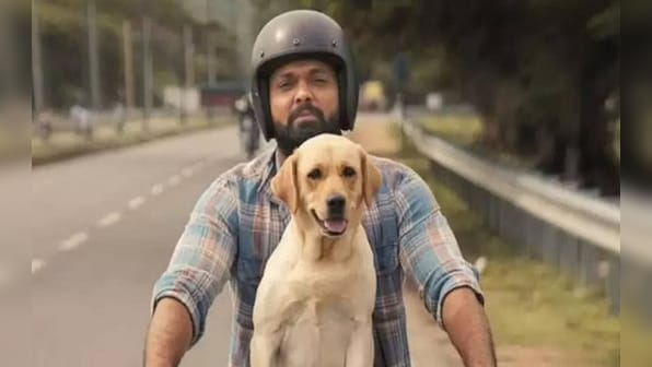 Pets in Indian films and TV: When furry friends take over the show