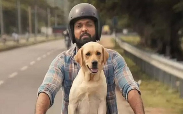 Pets in Indian films and TV: When furry friends take over the show Pets in Indian films and TV: When furry friends take over the show