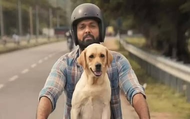 Pets in Indian films and TV: When furry friends take over the show