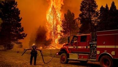 US man starts wildfire by trying to burn a spider