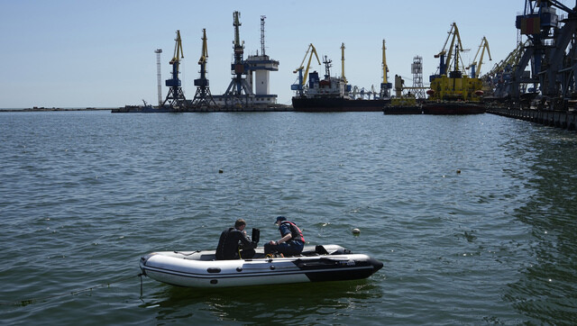 Ukraine: Shipping companies not ready to export grain despite deal to provide safe corridors through Black Sea Ukraine: Shipping companies not ready to export grain despite deal to provide safe corridors through Black Sea