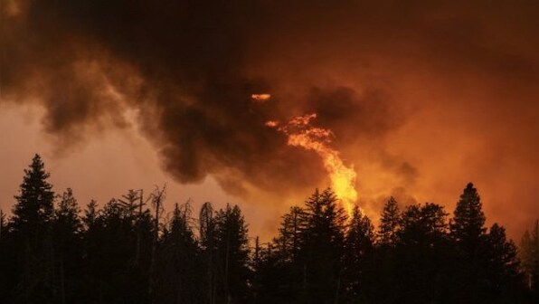 Thousands evacuated as California wildfire grows