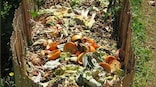 Earth and soul | 10 Indian ways to reduce your carbon footprints