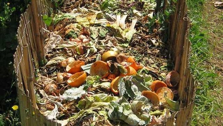 Earth and soul | 10 Indian ways to reduce your carbon footprints