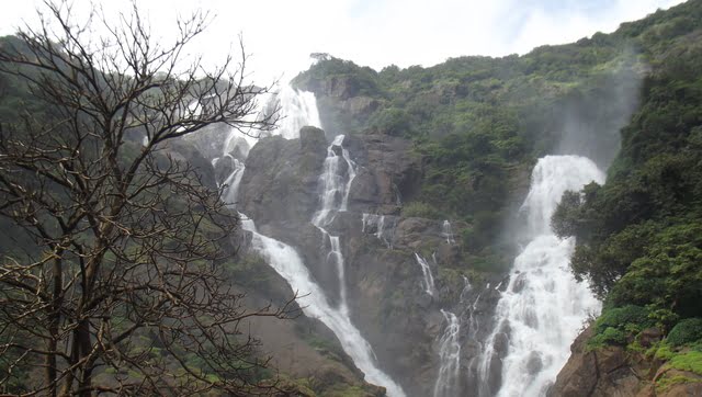 Watch: Stunning video of Dudhsagar waterfall takes internet by storm Watch: Stunning video of Dudhsagar waterfall takes internet by storm