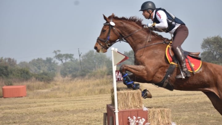 Equestrian Federation of India to hold its first ever elections in compliance with Sports Code