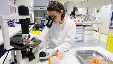 IIT Madras researchers successfully develop and deploy an AI-based tool to diagnose cancer