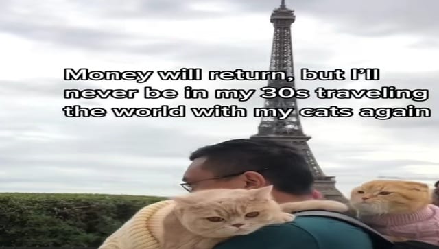 Watch: New York man travels world with his 3 cats; felines visit Paris, Times Square & Venice