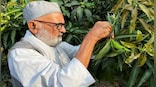 India’s ‘aam aadmi’: Meet the man who produces 300 varieties of mangoes