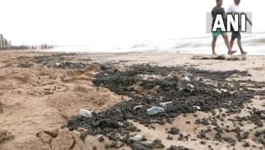 Mumbai's Monsoon Muddle: Juhu beach is a 'no go' as jellyfish, tarballs wash ashore